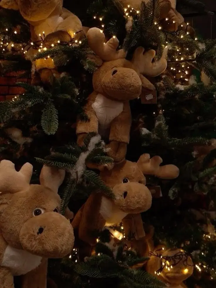 JaggedArrow5960의 크리스마스에 내려온 선물..? 🦌❄