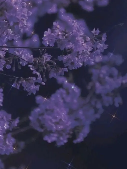 knt_hbr_zeffiro의 鈍感な先輩