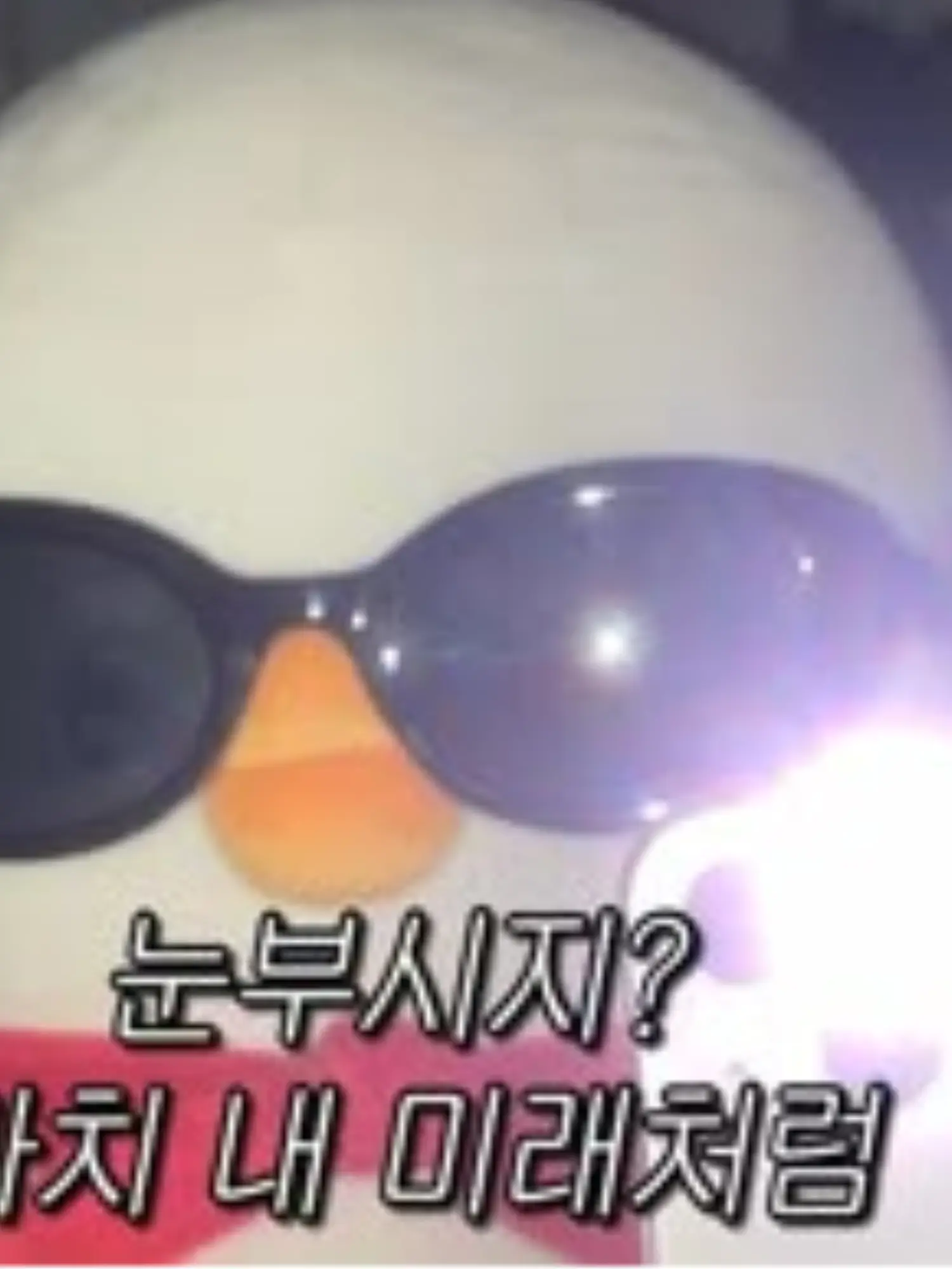 PettySalty4639의 오리씨