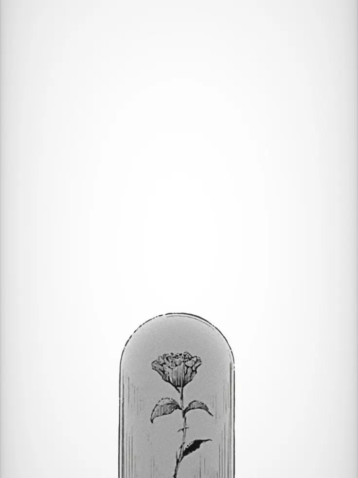 StubbyStep9457의 君がいないと、