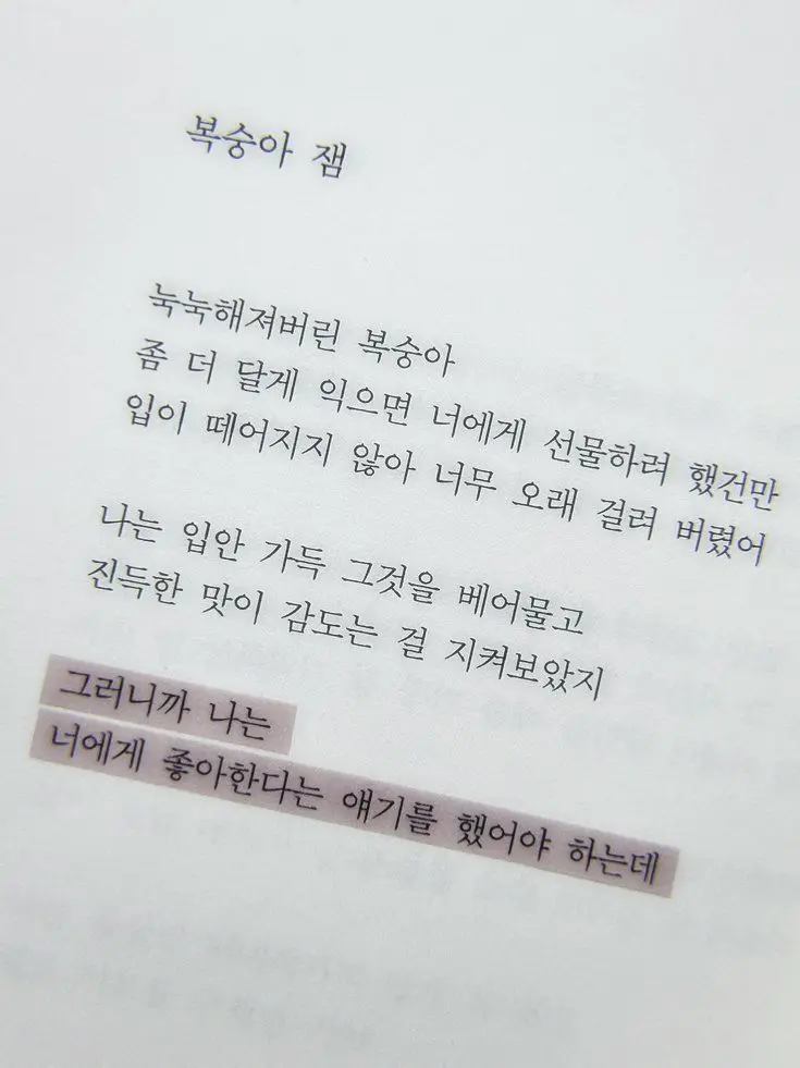 ny9e의 복숭아 잼