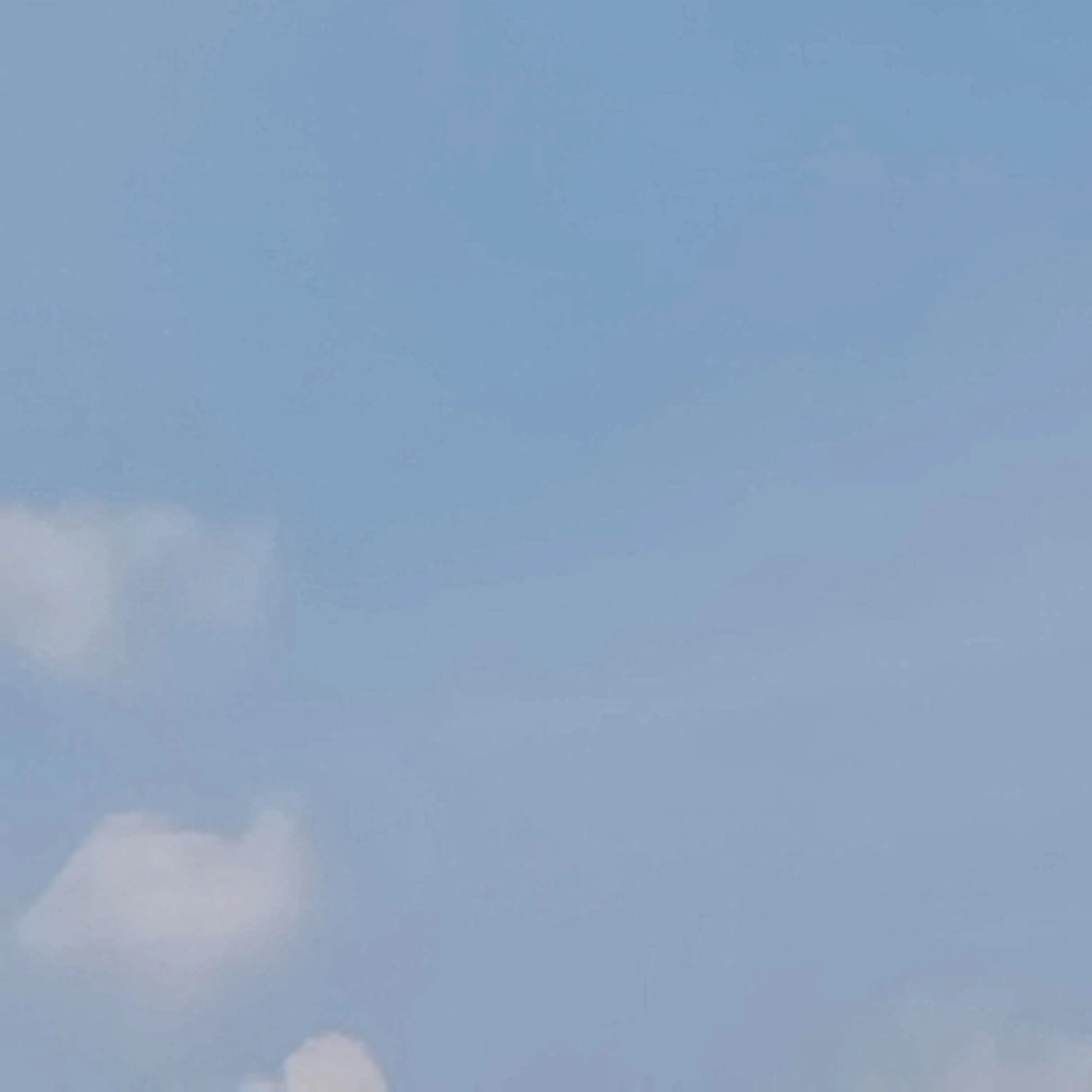 LongPlank7292의 햄쩌 세계관 학교
