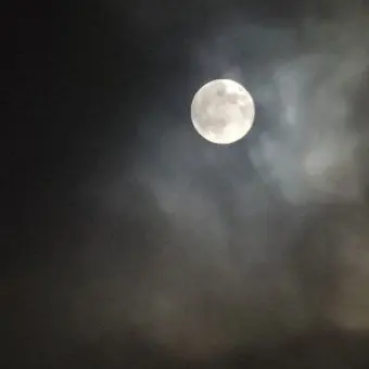 Azure_Reaper의 어디 가느냐! 이 몸을 놀아주거라!