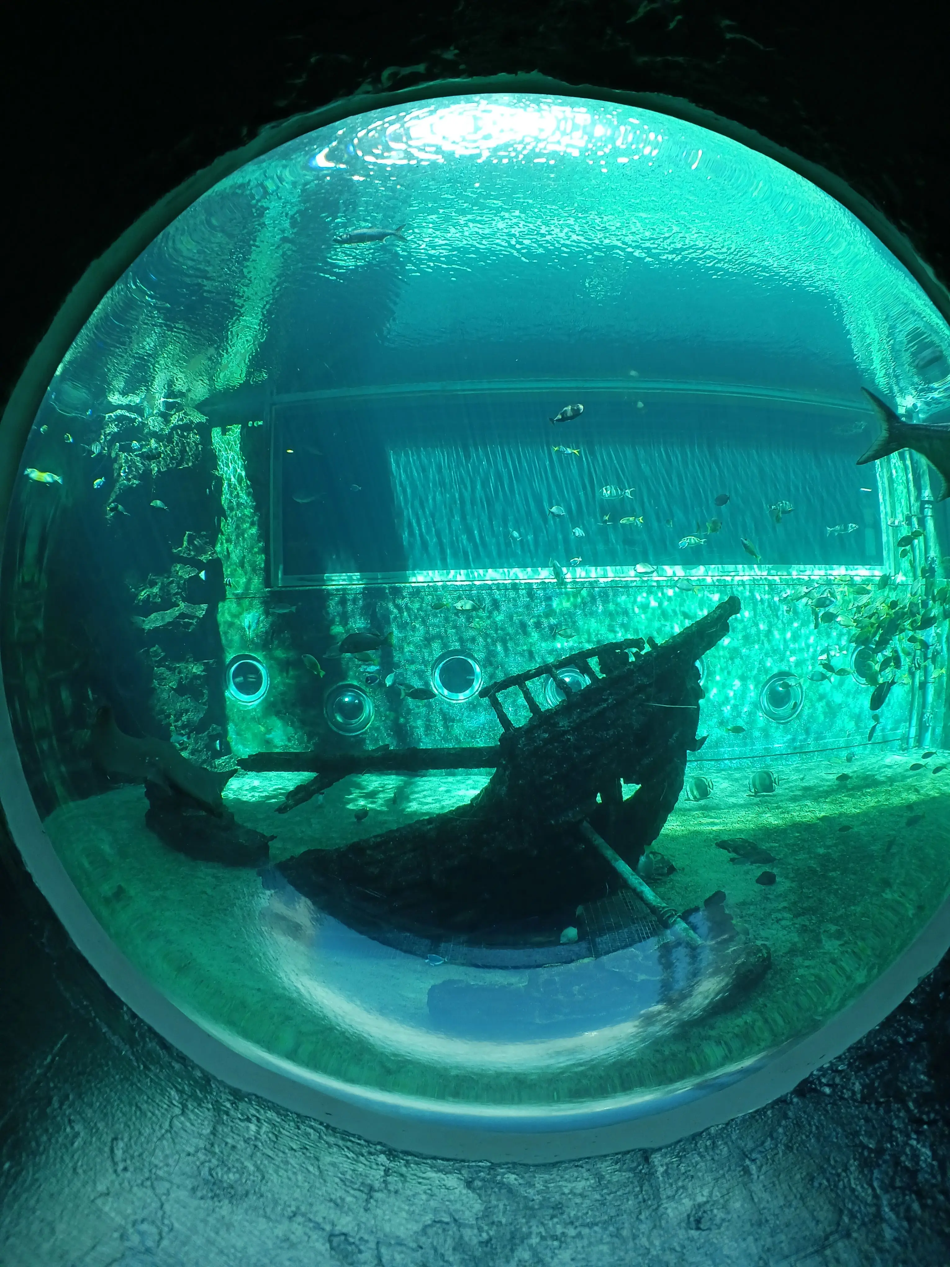 PoorCello9524의 助けてやるからキスさせて