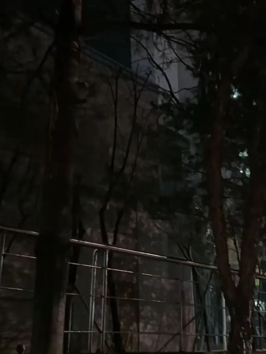 GiddyFossa4296의 시간을 되돌린다면
