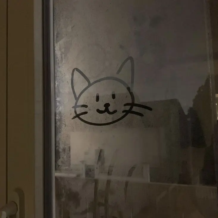 8n8_3의 냥줍 🐱