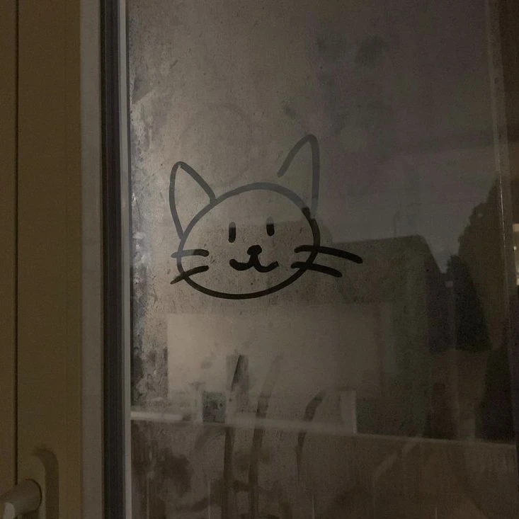냥줍 🐱