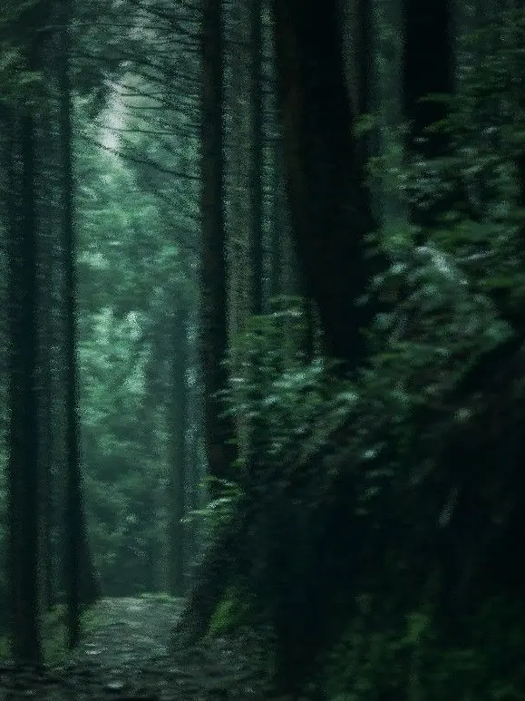 PorousPaste5589의 生き延びろ！！