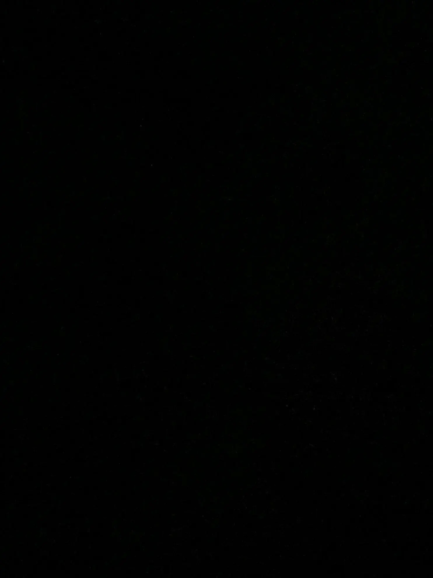 VocalBass0371의 존나 나대는 아빠