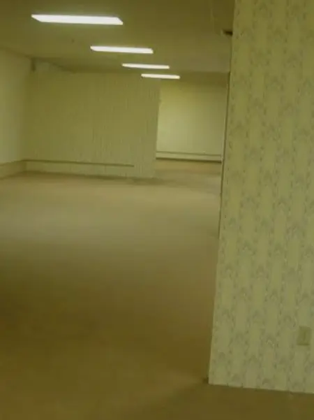 rein_Fortnite의 東方の皆とバックルームズ