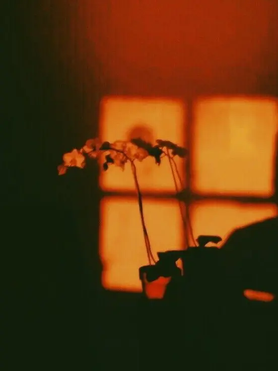 Jsysuwu의 박 덕개