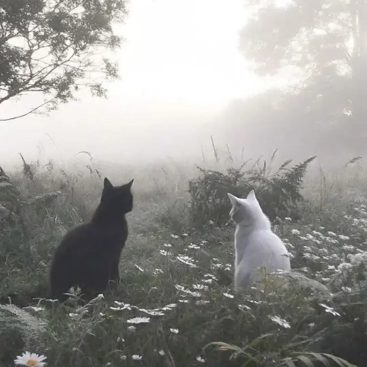 HandyFund0405의 私のおかしな旦那様