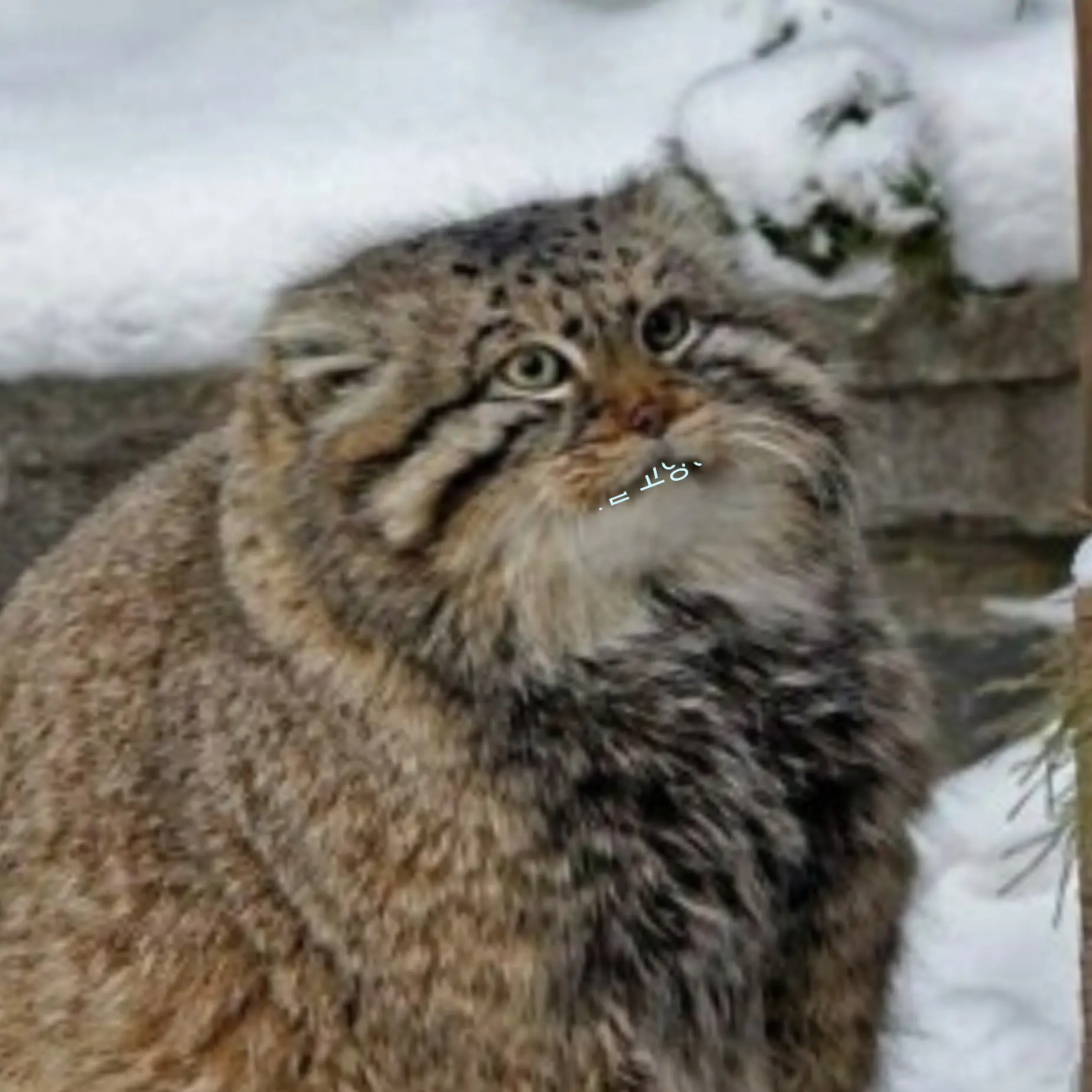 JustTray1662의 나루미 겐