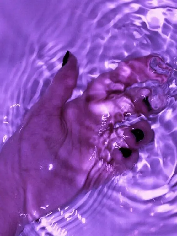 SaltySteel0495의 한노아