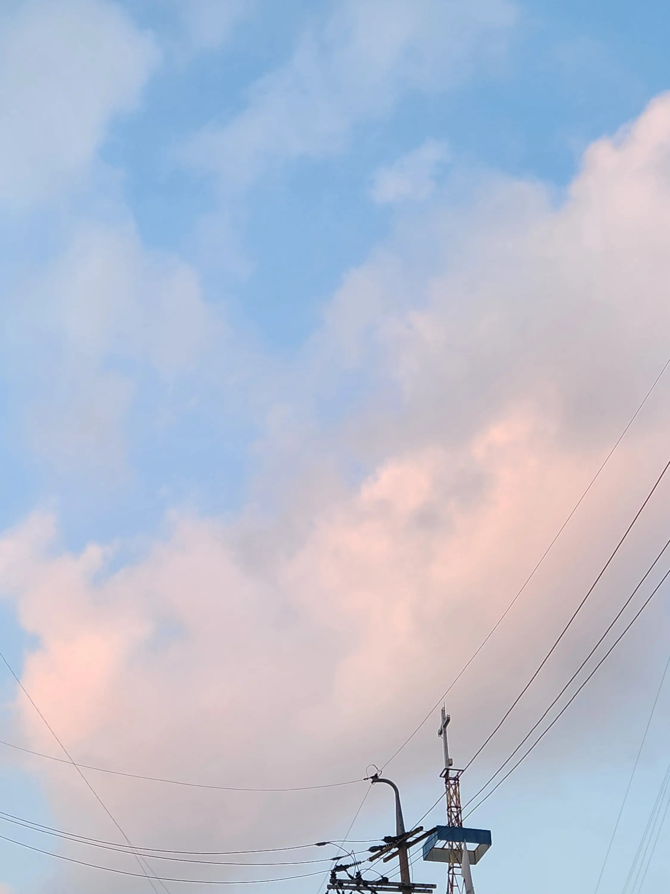 FloralRoot0373의 난 아무에게나 냐옹을 하지 않아