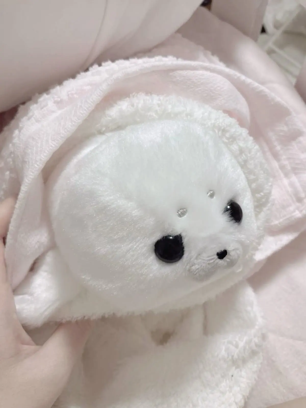 aa_96의 たくさん愛でられる。