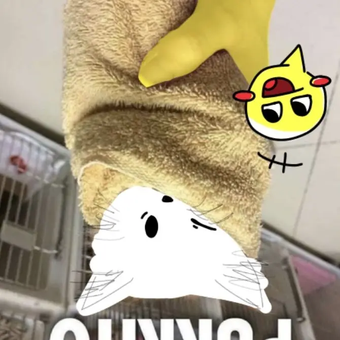 MatteRat1510의 拾われたシェドレツキー