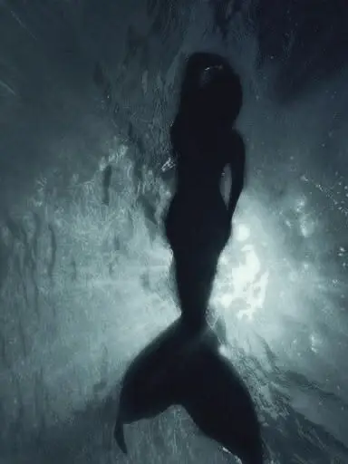 SaltyBell0524의 Mermaid