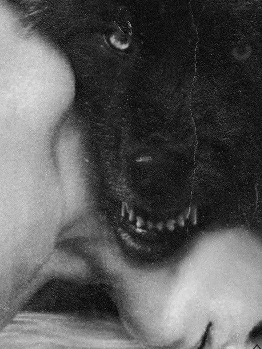 CurvedDhole4049의 𝑪𝒓𝒖𝒆𝒍𝒍𝒚 𝒇𝒂𝒕𝒆𝒅