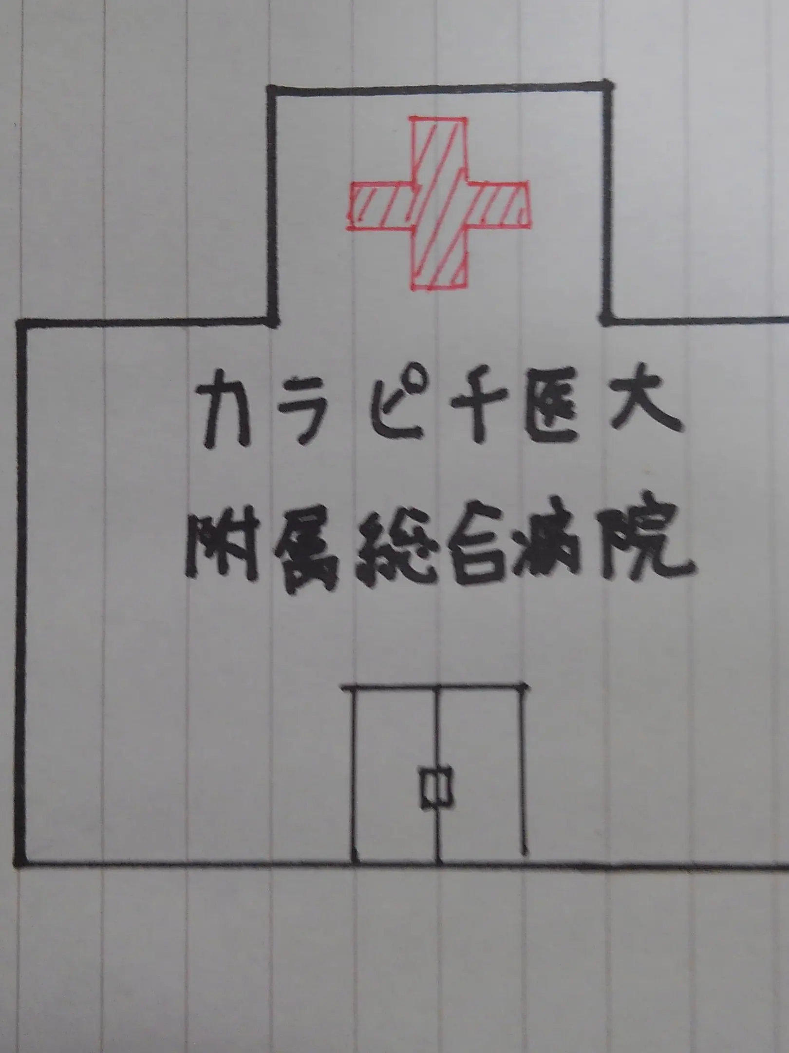 hanzou의 カラピチ附属総合病院