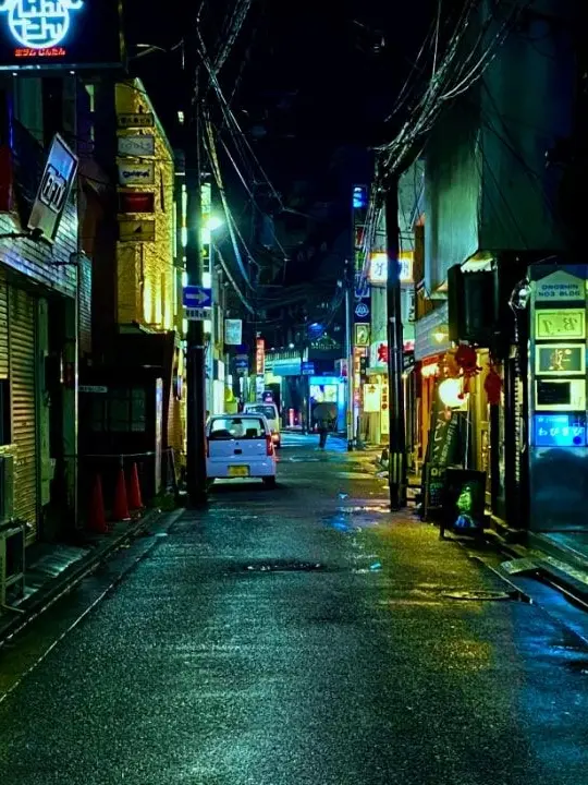 TinyDorgi9167의 夜死呉町