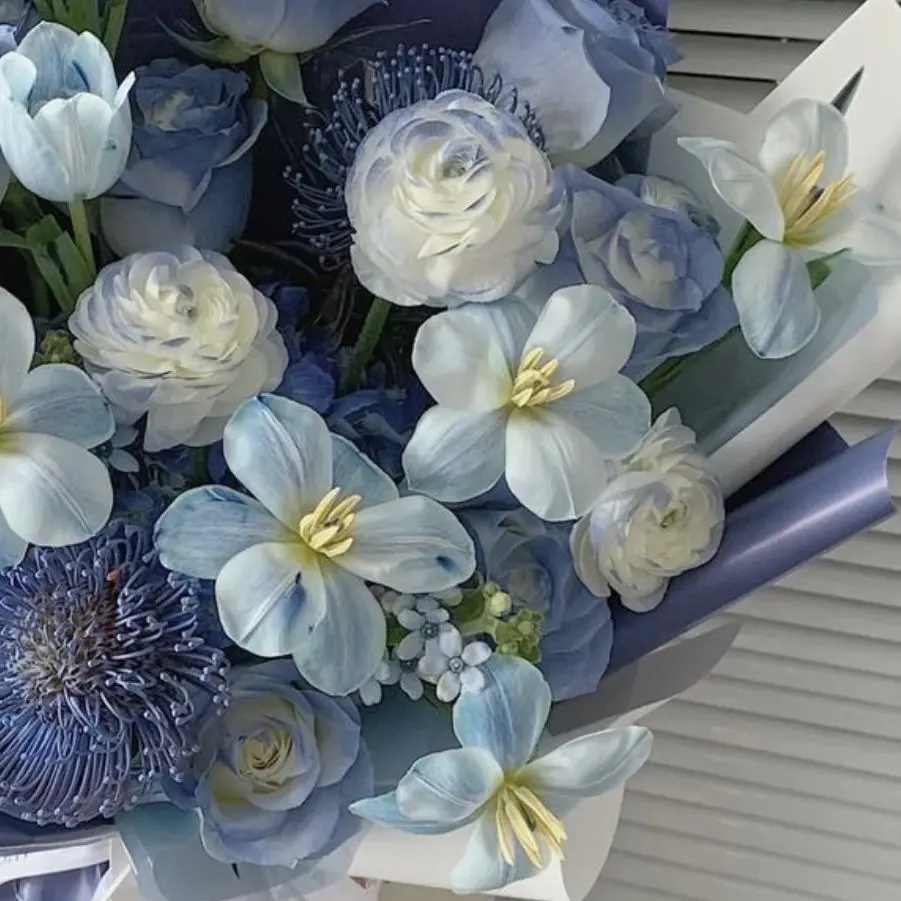 mi.xs0l_의 扇田 由弦