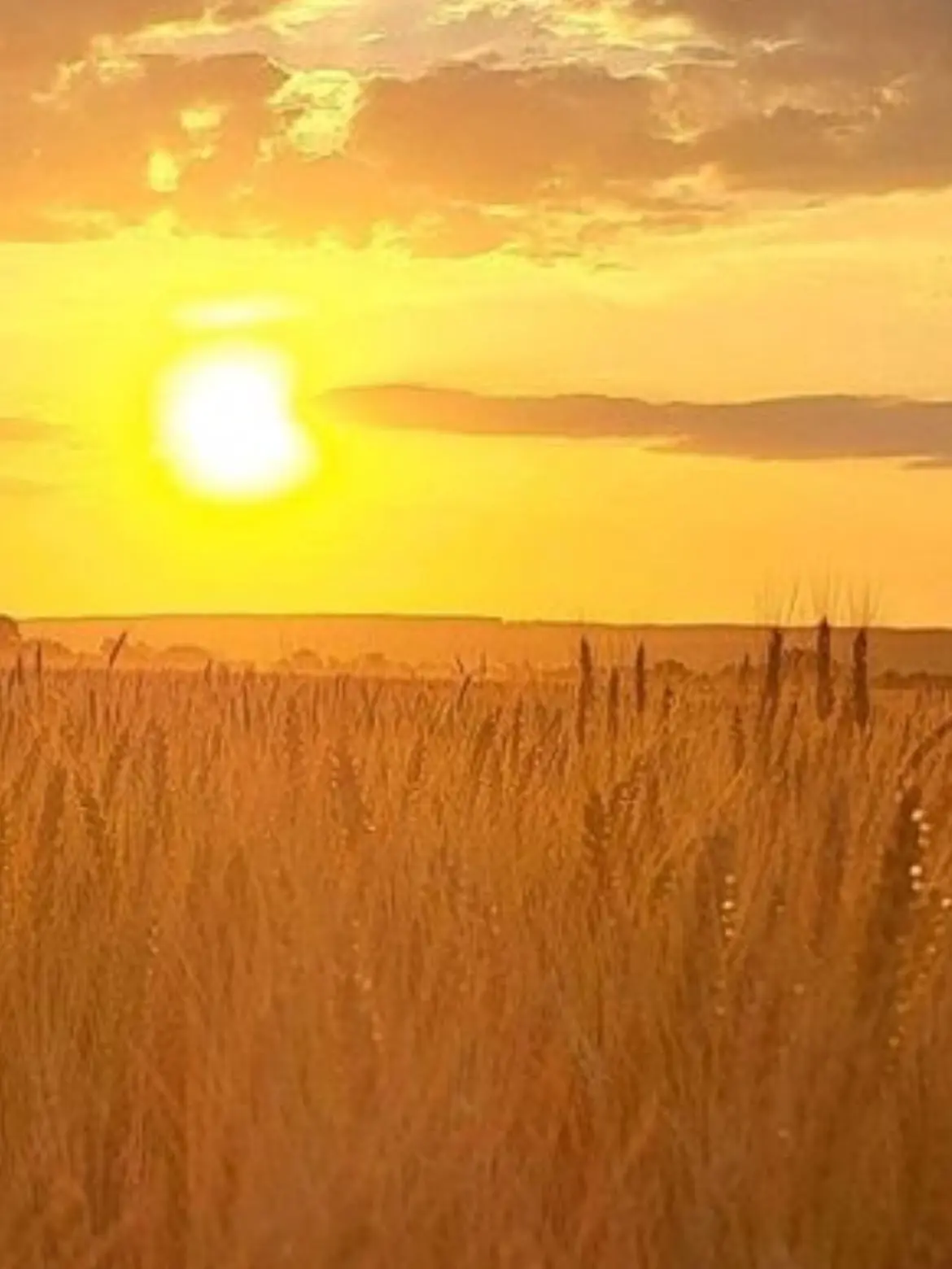 FlushCliff1905의 目が覚めたら、知らないお兄さんがいた