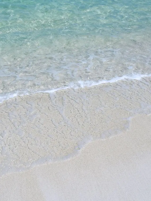 RareFloss6010의 夏だ！海だ！呪術高専だーーー！！