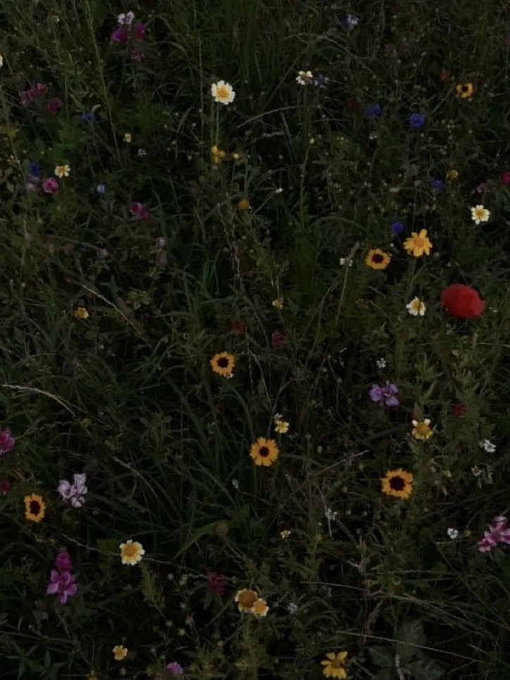 Rr1220의 ɢᴀᴍᴇ