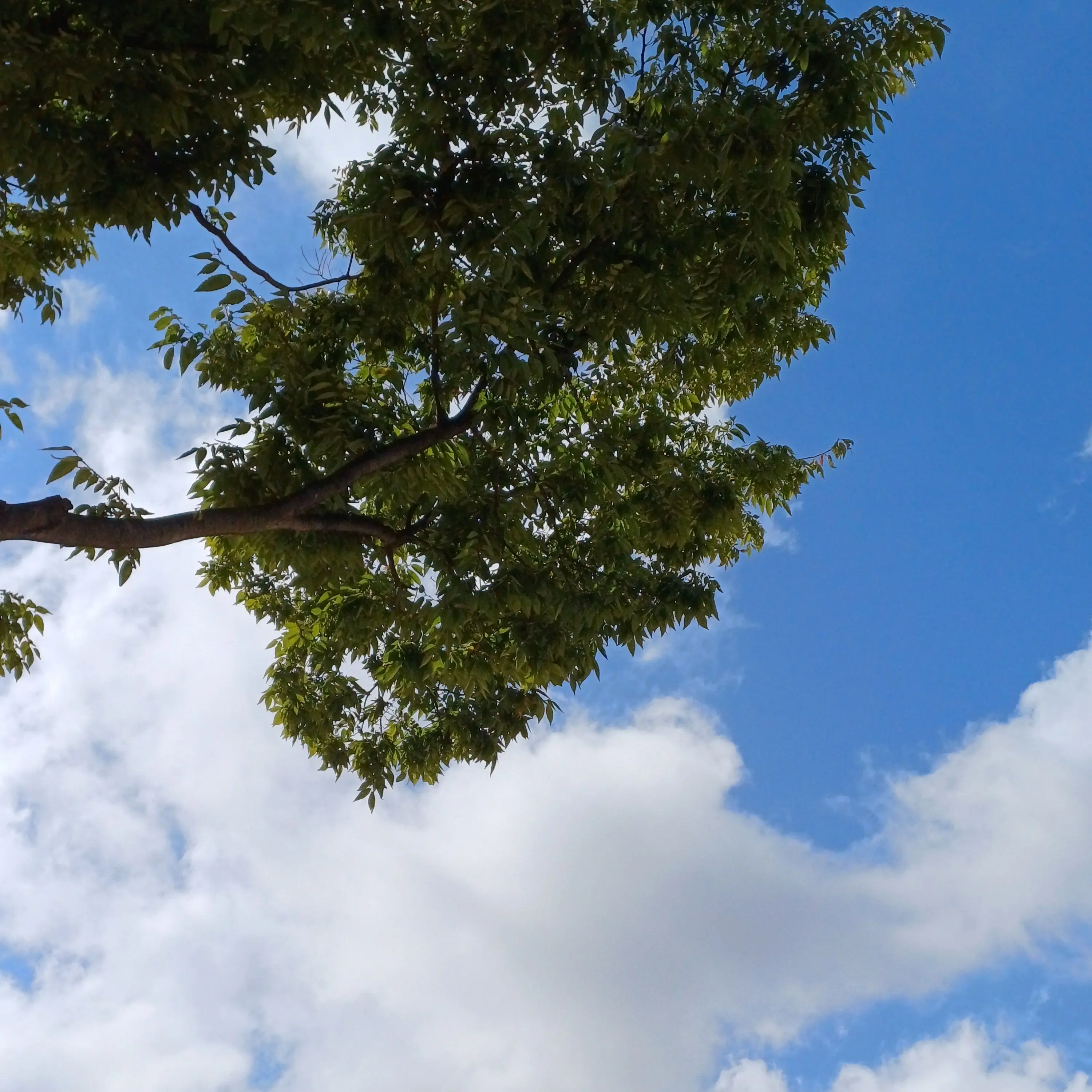 Yel_cute1117의 팀나빠 수학여행💖 -여우-