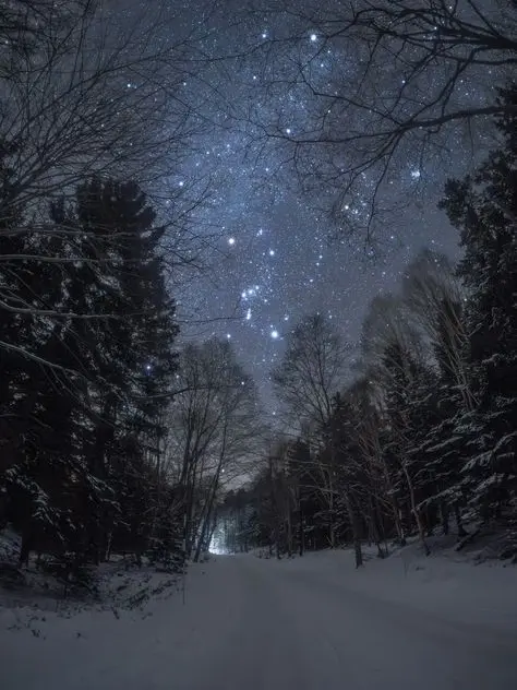 SleekHeron7203의 싀골