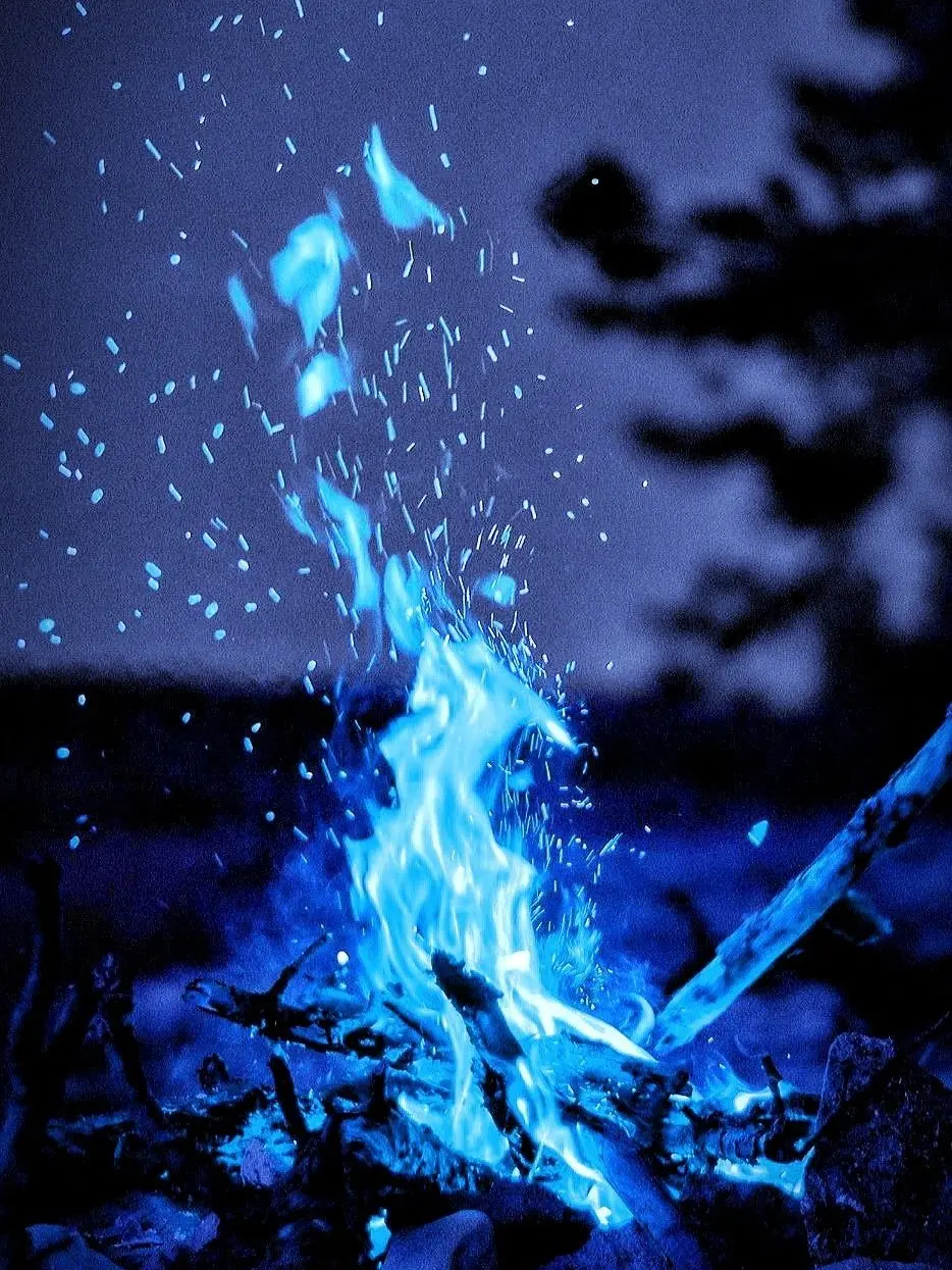 Dmwmmg의 4