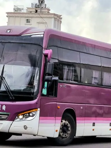 JREASTJAPAN의 여우년을 참교육 하세요 !