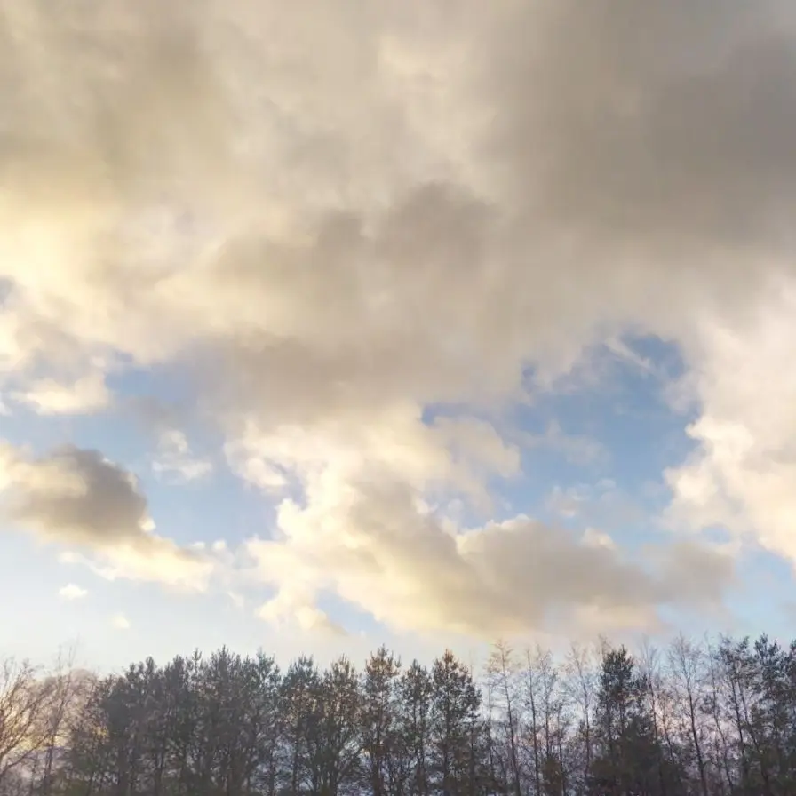 SolemnStale2034의 니노 선데이