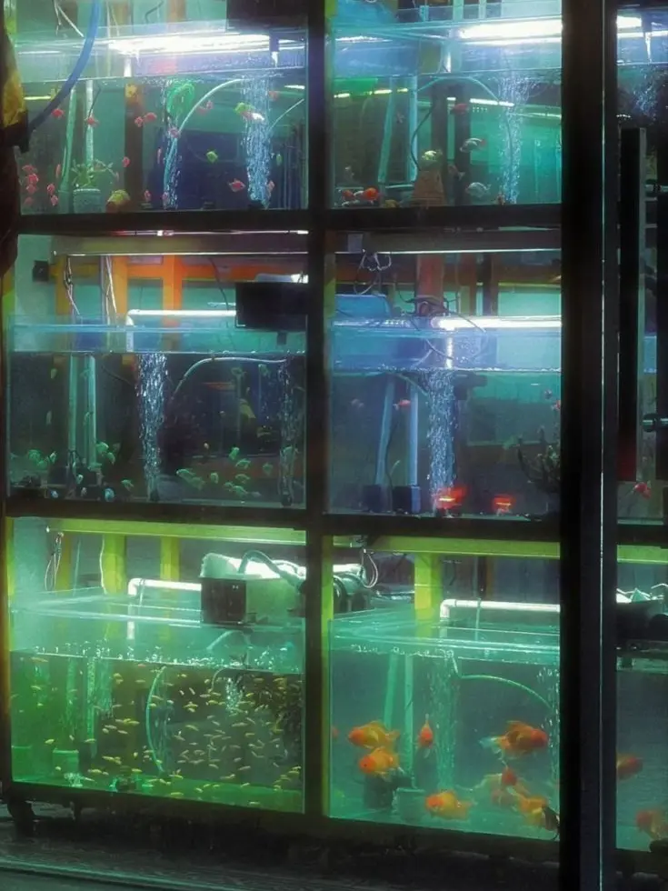 SpicyFlash0348의 ғɪsʜɪɴɢ ɴᴇᴛs