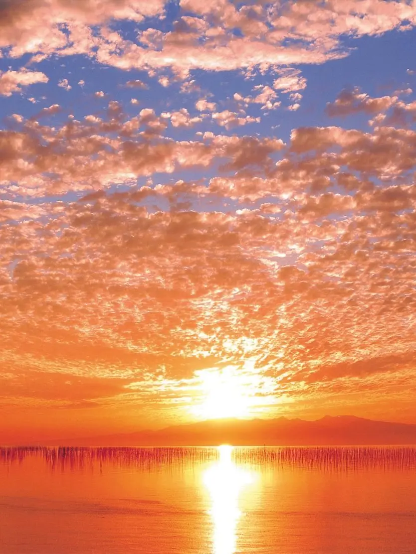 TrueGorge4482의 きっと…君を