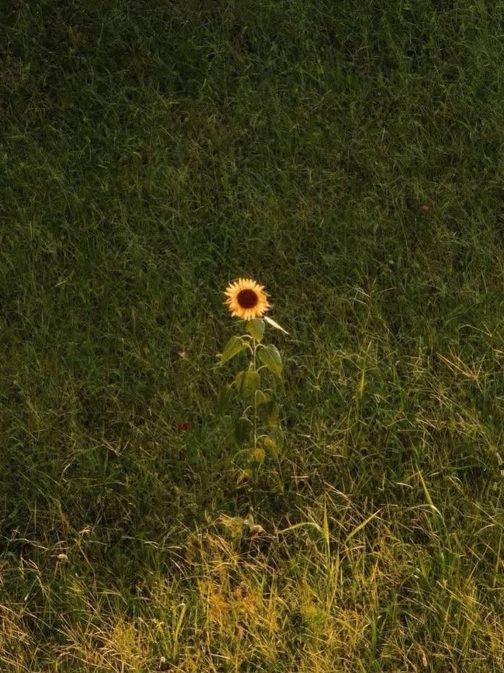 백지헌 대표 이미지