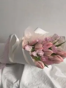 FluidEra2836의 드래곤,뜰팁,여우,집착녀