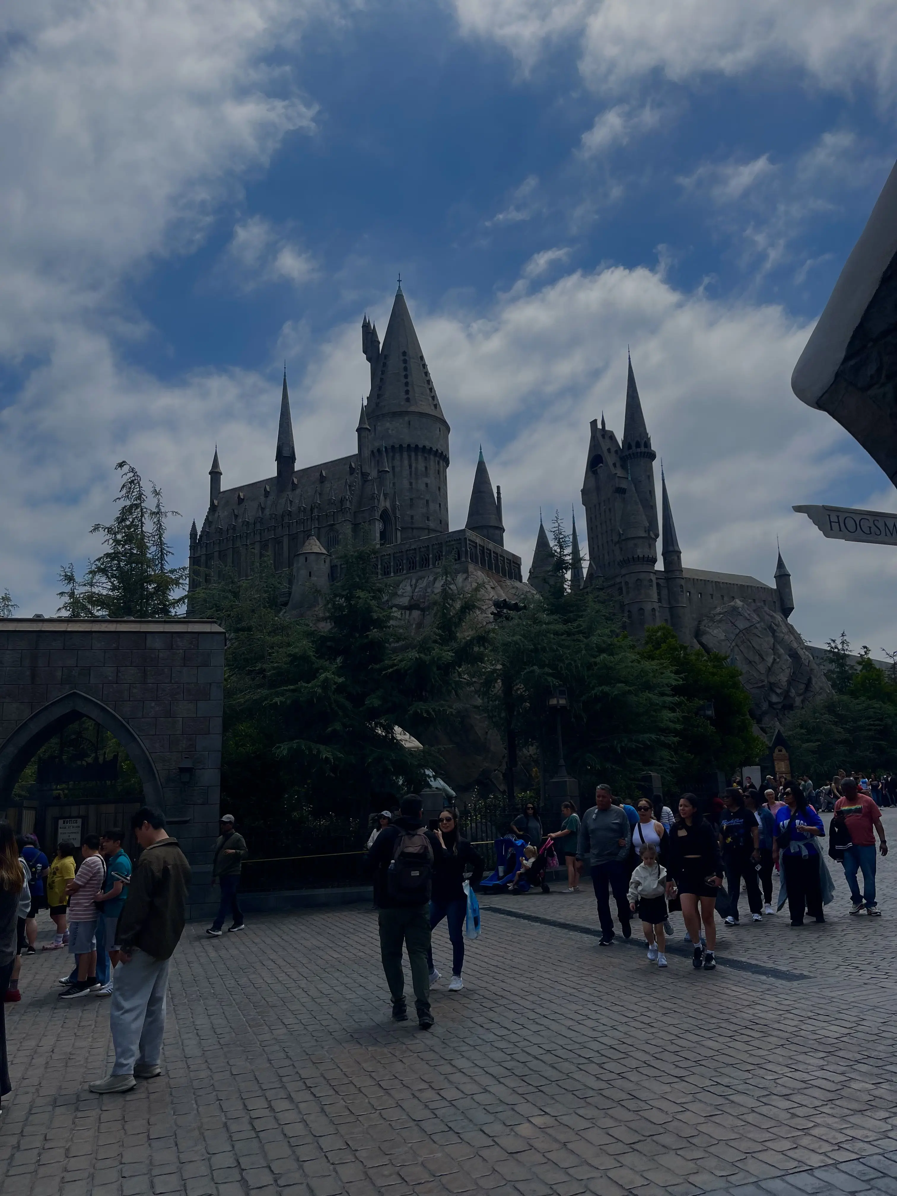 FlakyKagu0757의 College
