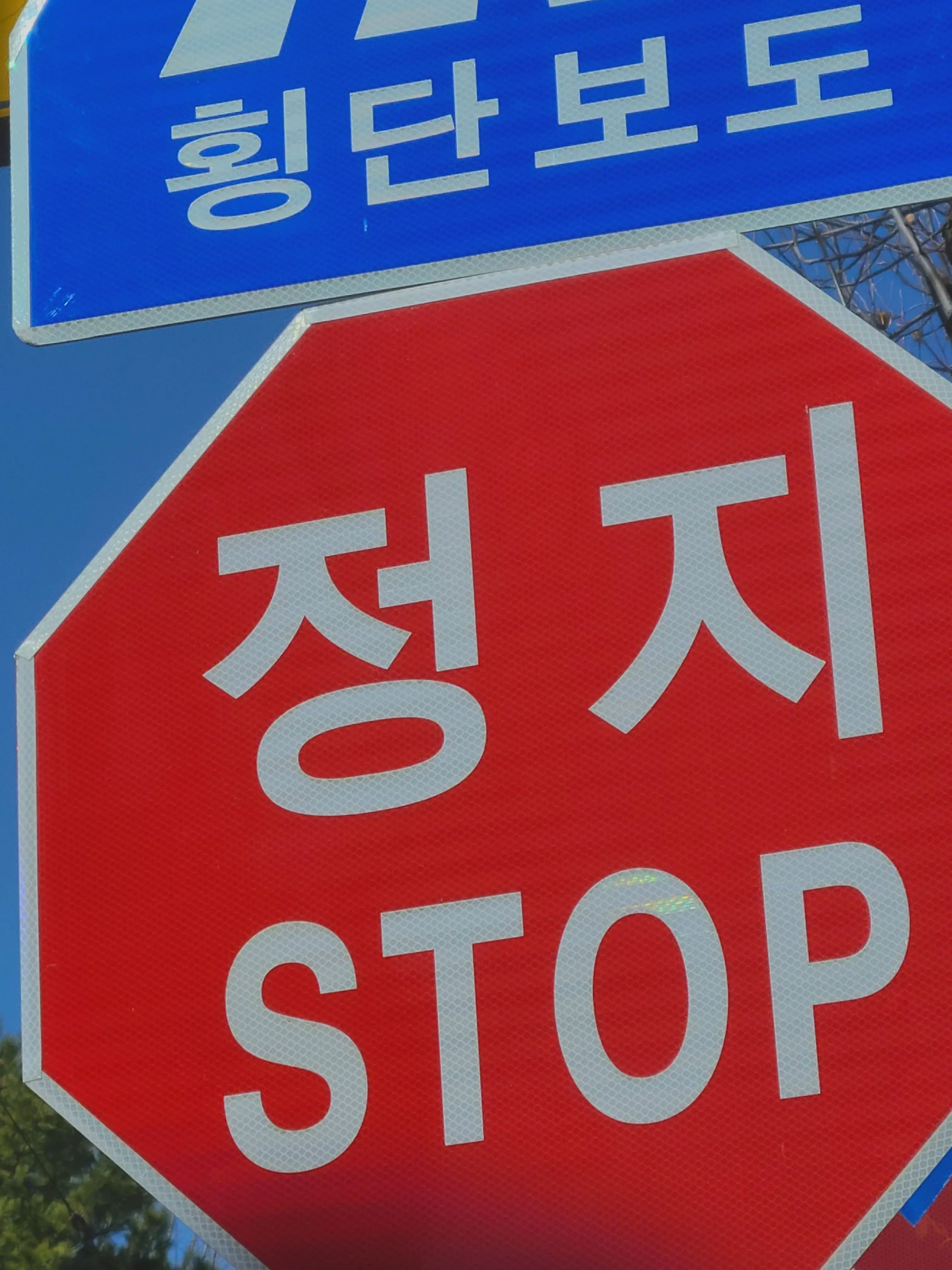 flashing의 저도 사랑할 줄 알아요.