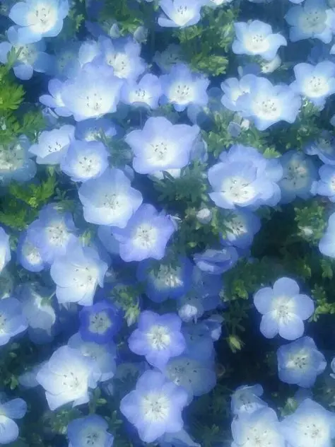 mon_l의 友達以上恋人未満