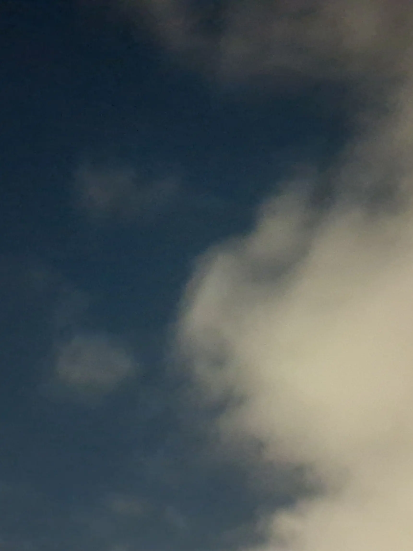 NiceGirl0420의 리레볼루션: '장산범'