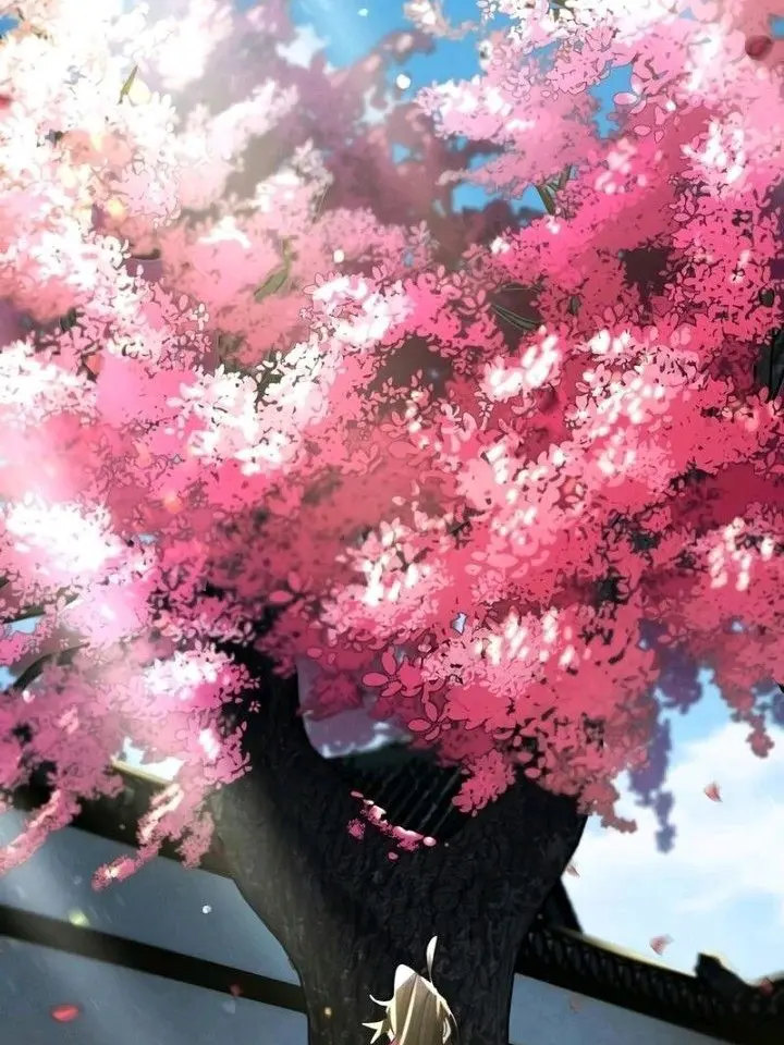 haxju의 쌍존 때문에 빡친 유저