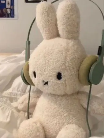 do_duck의 テコンドー