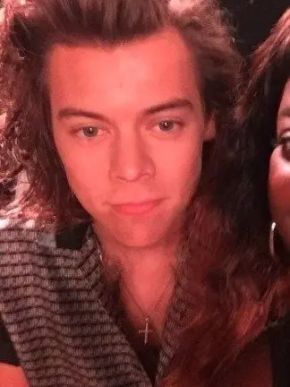 LinearDuvet3112의 Harry Styles