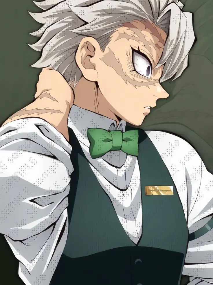 tokitomuichirokun의 시나즈가와 사네미_동거