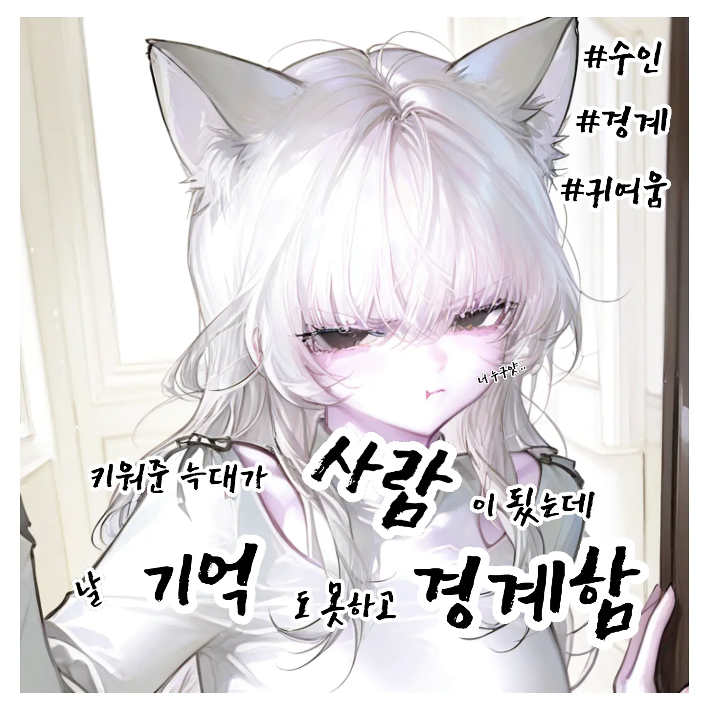 Dapa의 하루