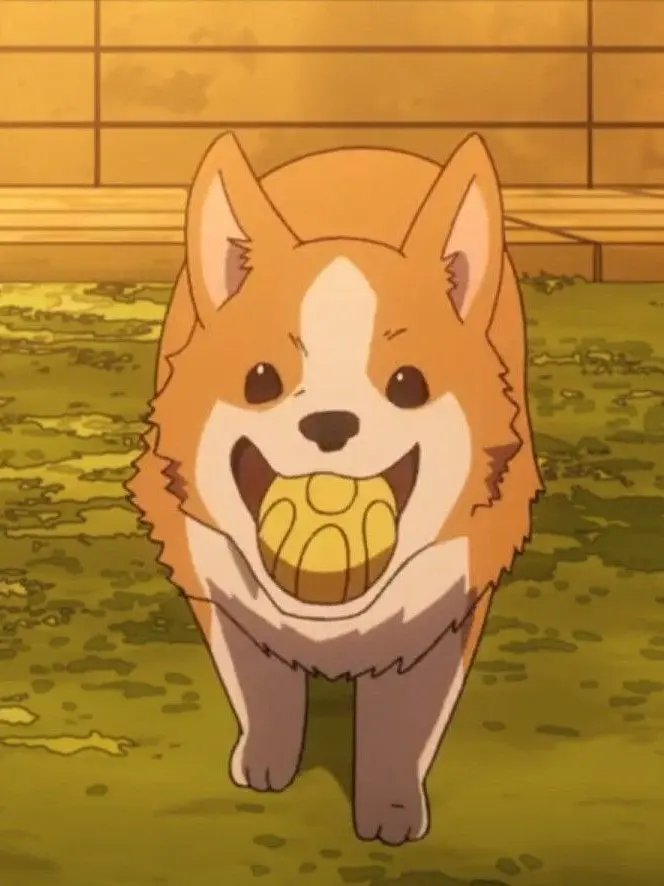 chemikaze의 MHA CLASS 1A - Dog User! 🐾