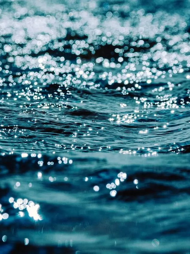 EggyDiet1838의 난 진짜가 아닌건가?