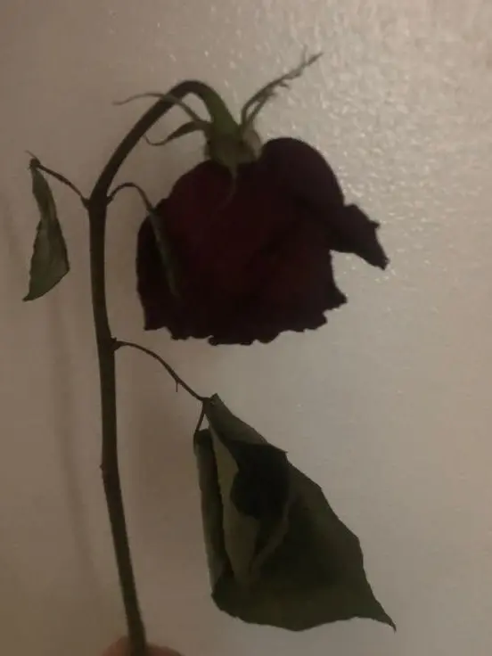 One_side_lover의 おい、全部見てるぞ